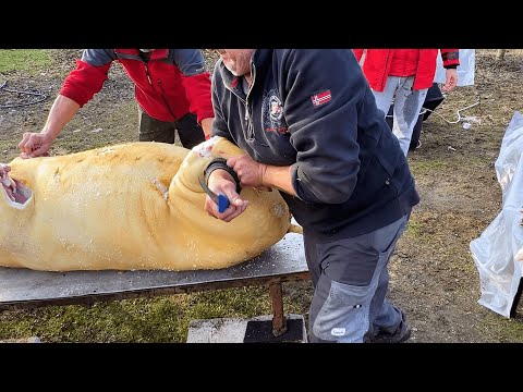 🐷Slaughtering the Pig - Romanian traditions and customs