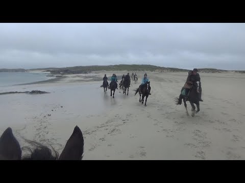 Wanderritt in Irland: 5 Tage auf dem Connemara Trail mit zwei Tinkerpferden