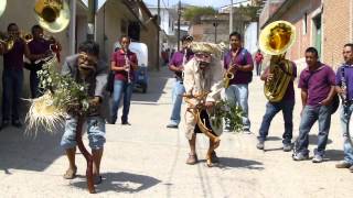 preview picture of video 'Baile de los Viejitos'