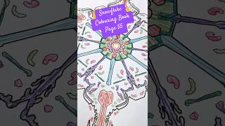 Snowflake Colouring Book Page 55