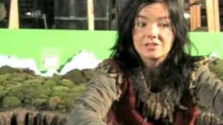 Björk about Innocence video