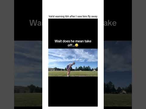 Buddy actually took off