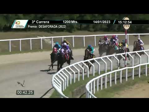 230114 c03 - APOLLYON (BRZ) - HIPODROMO LAS PIEDRAS