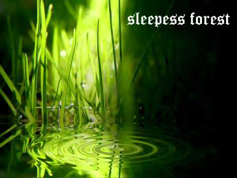 Sleepless Forest - new song 2012 teaser