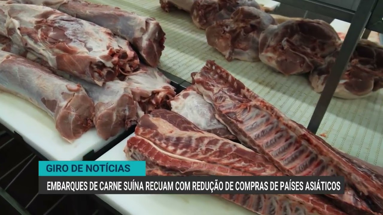 Exportações de carne bovina recuam com menor demanda da China | Giro de Notícias