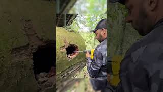 Tesouro indescritível no esconderijo da parede!