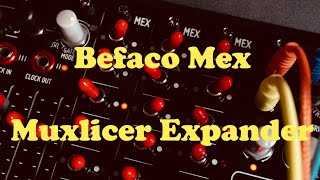 Video thumbnail for Befaco MEX (Muxlicer Expander) by Synth Diy Guy