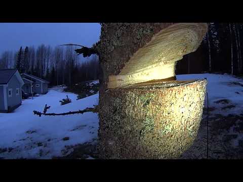 Metsolan Metsäkoulu 96, Kaatokolovirheitä