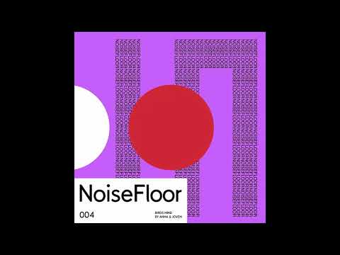 ANMA & JOVEM - Birds Mind (Original Mix) [NoiseFloor Records]
