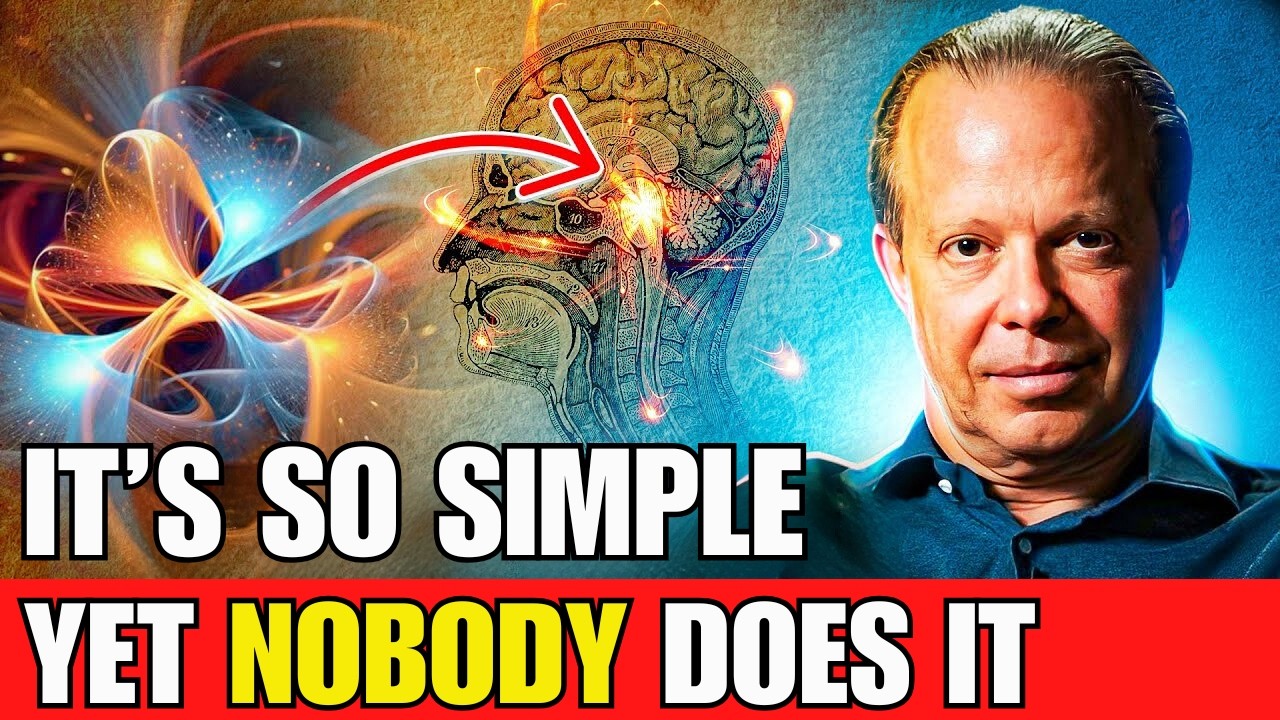 QUANTUM MANIFESTATION EXPLAINED | DR. JOE DISPENZA - Life is Eternal 🌌