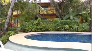 preview picture of video 'Safari Surf School & Hotel Casa Tucan - Nosara , Costa Rica'