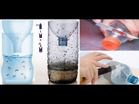 Conseguenze di codificazione di puntura da alcolismo Le preghiere che sono state fermate essendo bevuto
