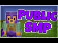 Brand NEW Public  1.19 Minecraft SMP (free to join) (24/7 JAVA + BEDROCK)