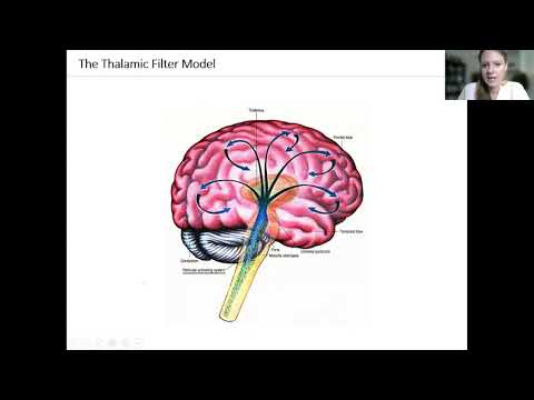 Neurobiological Mechanisms of Psychedelics for Psychedelic-assisted Therapy | Dr. Katrin Preller
