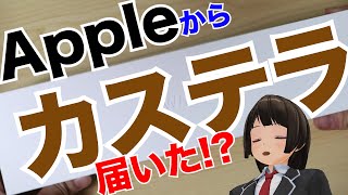 【Apple Watch Series4】ついに人間がバーチャルに操られる時がきた。