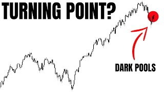 ARE THE BULLS BACK?