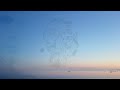 Tyler Childers Feathered Indians
