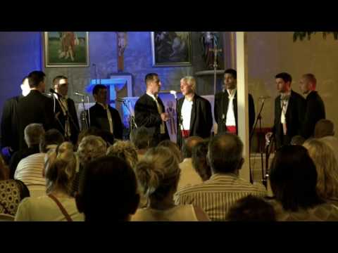 Susret dalmatinskih klapa - Vir 2010.