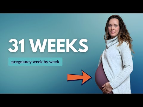 31 Weeks Pregnant 🤰 What to Expect: Changes for You & Baby Movement and Development