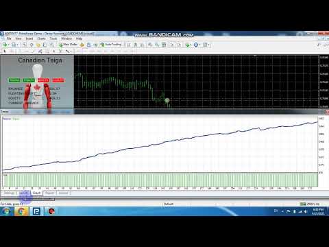 Video Canadian Taiga