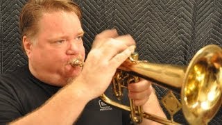 Summertime - David Miller, Flugelhorn (Trumpet)