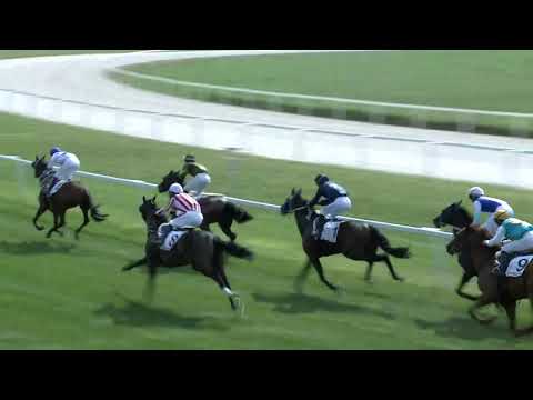 2018.09.16. 01. futam - NYERETLEN KÉTÉVESEK VERSENYE (IV.kat.) I. rész