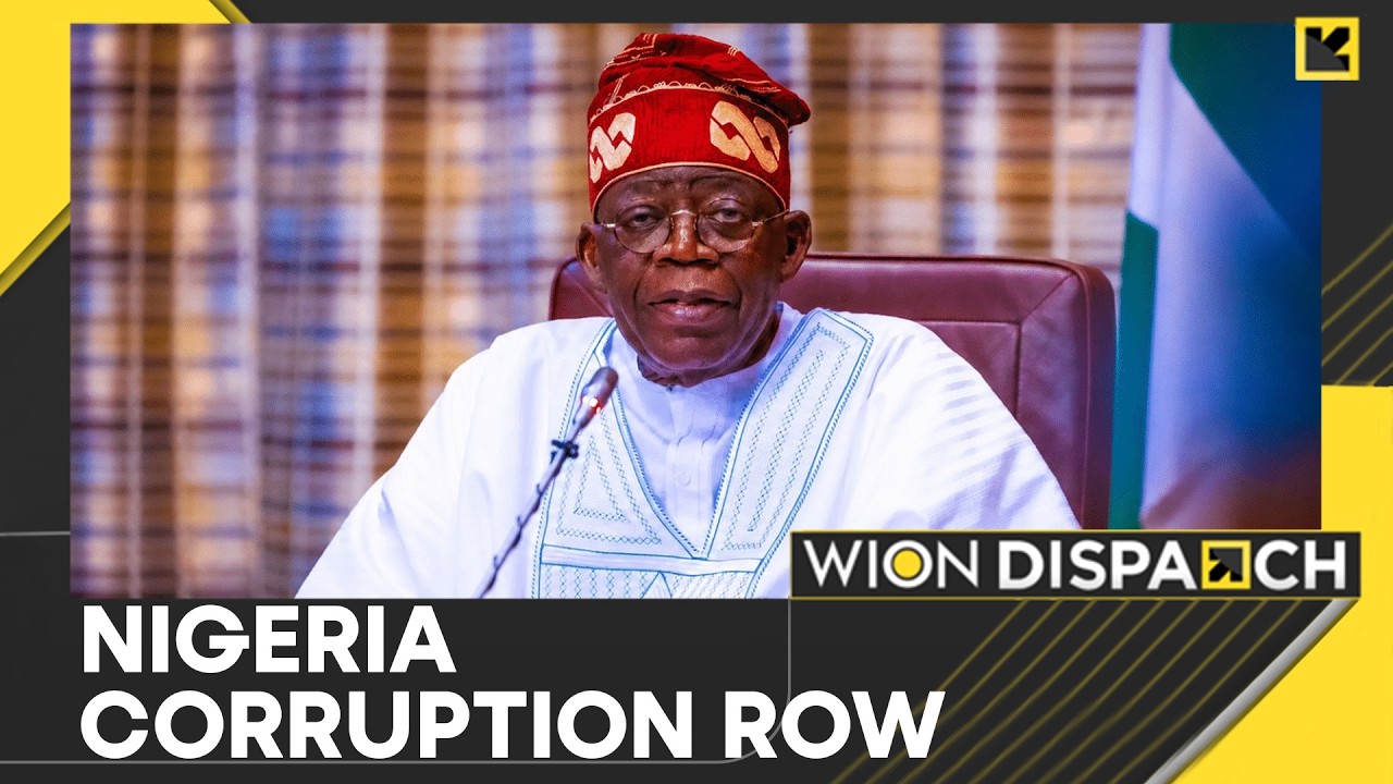 Nigerian Elites Laundered Hundreds of Millions Into American Real Estate | WION Dispatch