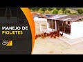 Curso Administração da Pequena Empresa Rural