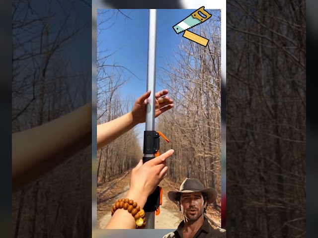 Vídeo relacionado con EZARC Hoja de sierra alternante japonesa de 9 pulgadas, hojas de sierra de podar madera con borde de arco 6TPI para podar árboles, cortar madera, 3 piezas