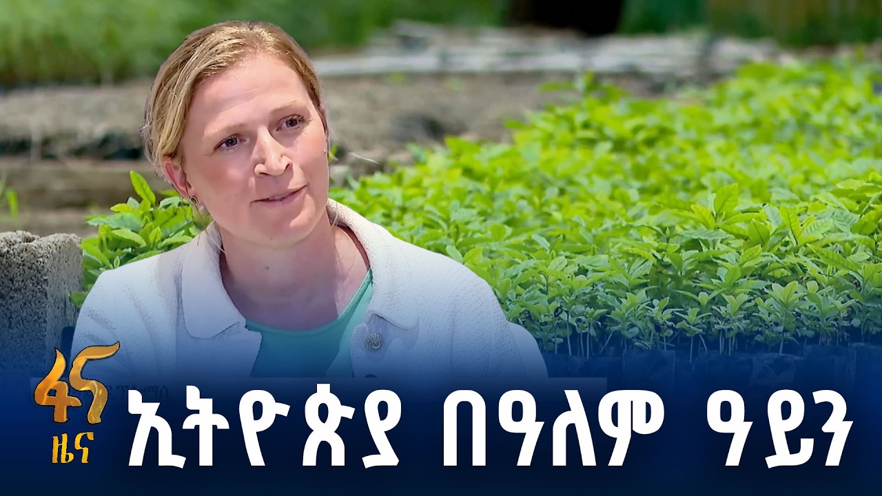 አረንጓዴ ዲፕሎማሲ