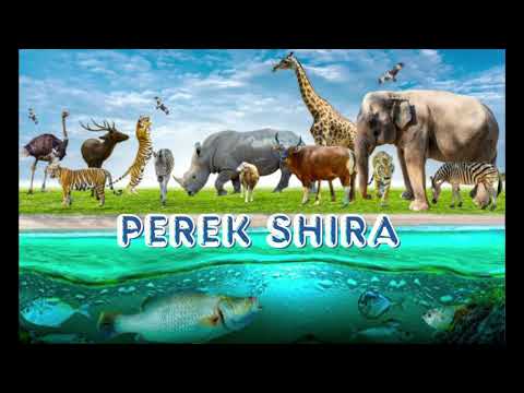 Perek Shira Inspired