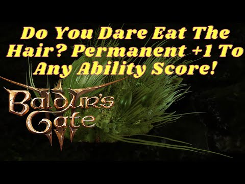 BG3 Tips: Increase That Ability Score(Permanent Plus 1 To Any Stat!)