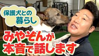 【ドギーマン×みやぞん】愛犬メイちゃんも保護犬でした！みやぞんが語る保護犬との暮らし