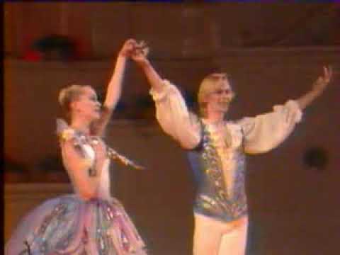 Butterfly pas de deux/ Gladkikh- Kaygorodov