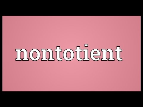 Nontotient Meaning
