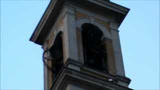 preview picture of video 'Le campane di Santo Stefano Ticino'