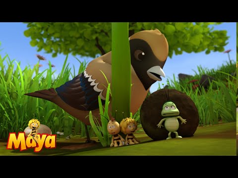 Majas geheime Schatzsuche! - Die Biene Maja🐝🍯🐝 - FULL COMPILATION