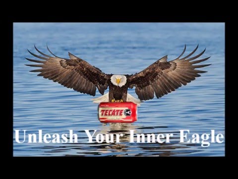 Teacte "Unleash Your Inner Eagle" Commercial