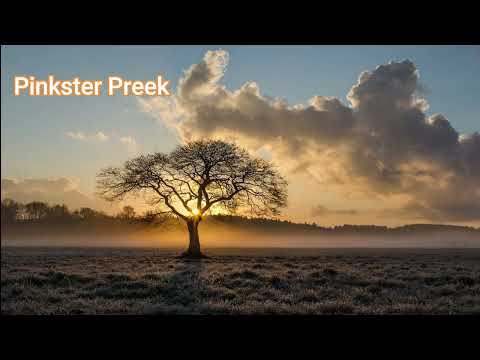 Pinkster Koortjies-Apost De Water-Preek