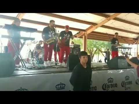 La Sombra - La Cumbia del Sapito