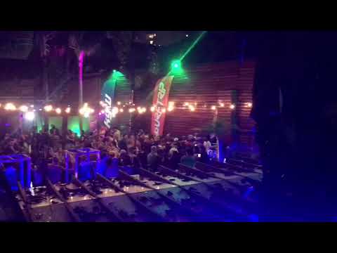 Surf Skate Party - Vibe Flash Tattoo (Winter 2019)