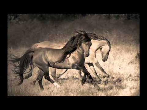 Thumbnail for Wild Horses4 Mike Sims by The Rolling Stones, Rolling Stones