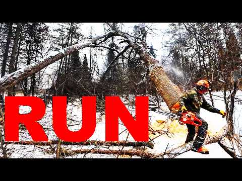 FIREWOOD PRODUCTION... WILL IT EVER END?