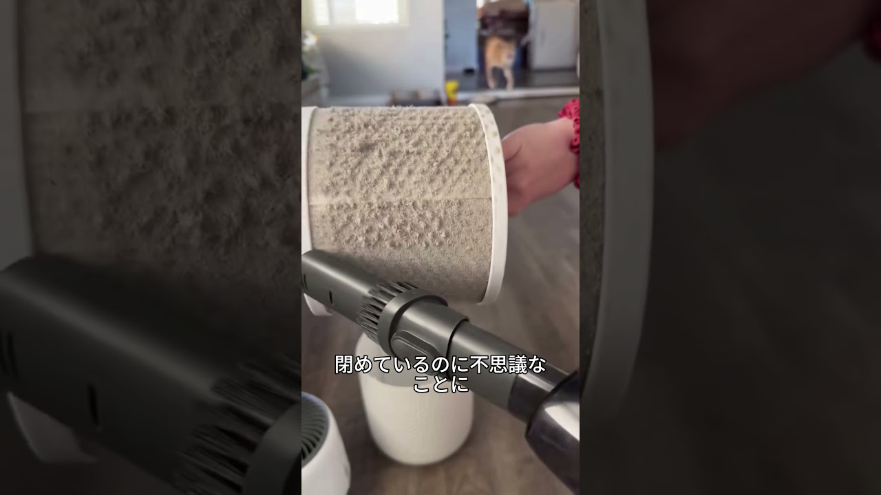 ホコリが生まれる理由  #プチ知識 #雑学 #一分でわかる