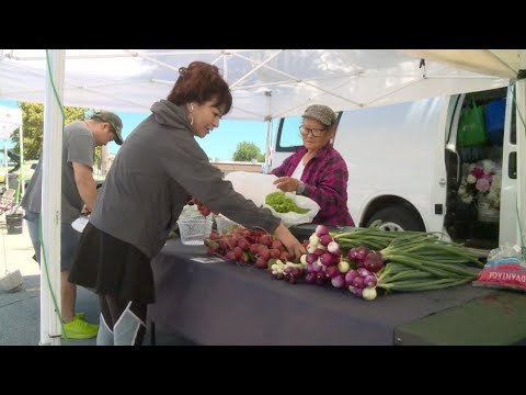 Shopping in the rain? local farmers market with lower turnout due to rain, new location