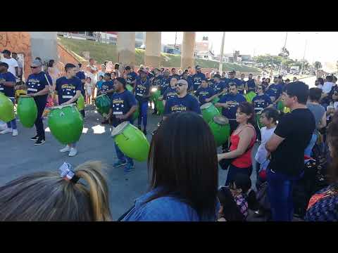 Sarabanda 2019 🔵⚪