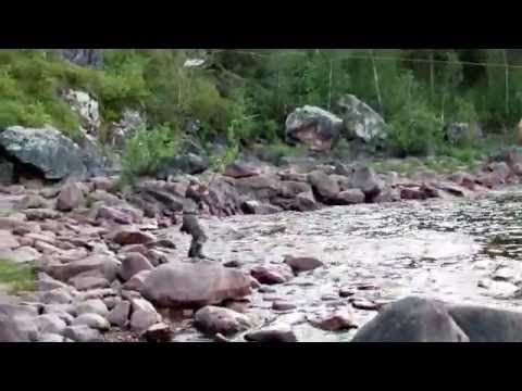 Markon 10.9 kg lohi Jockfallista