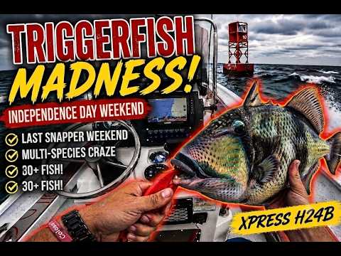 Snapper Season Finale Independence Day Weekend ! Xpress H24B Battles The Seas