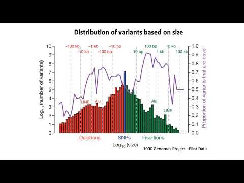 MCB 182 Lecture 12.1 - Introduction to human genetic variation