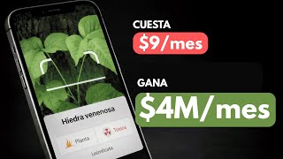 Cómo está app simple que gana dinero?